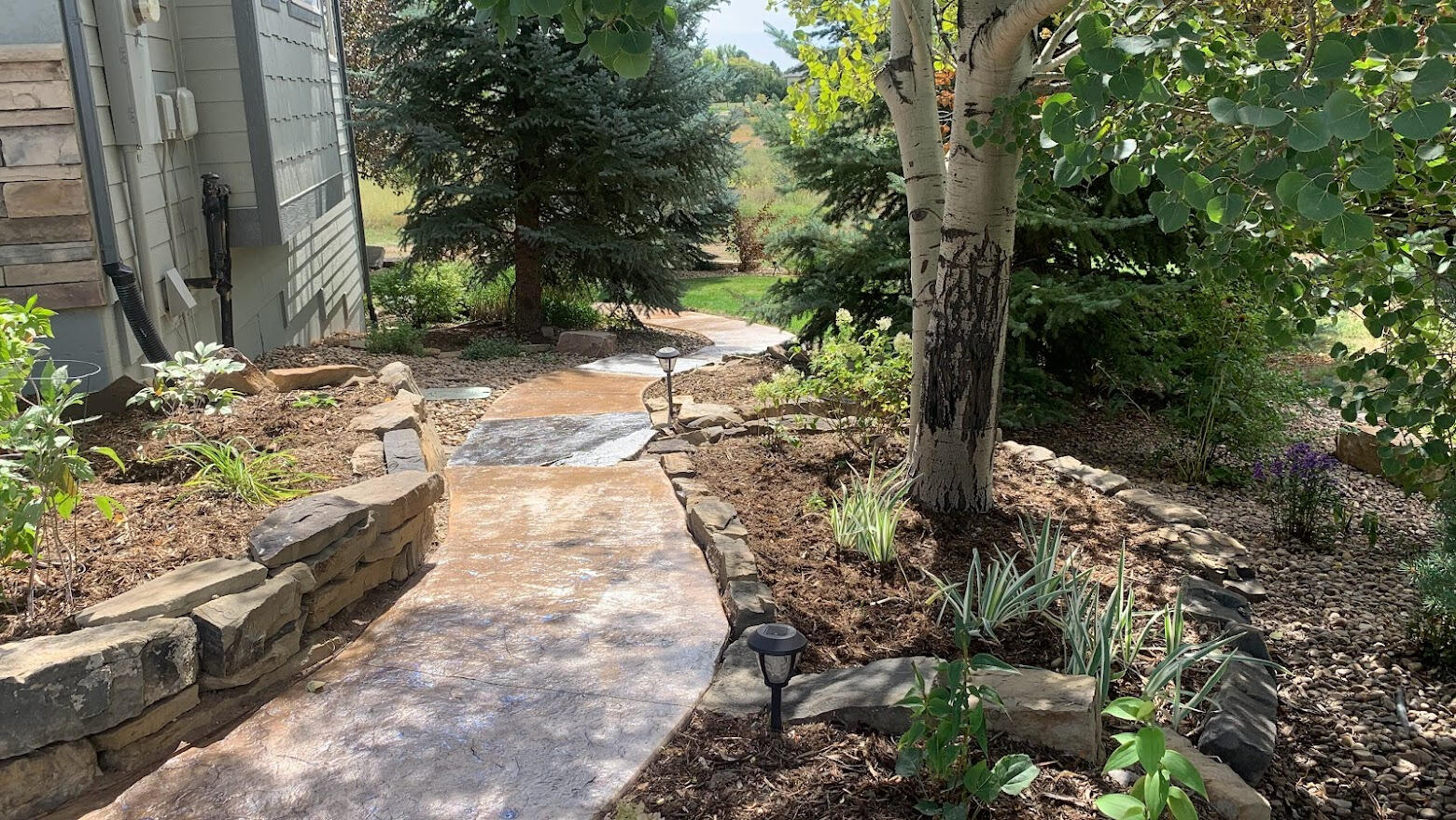Stamped concrete walkway in Fort Collins, CO winding through landscaped yard with natural stone texture and decorative finish.